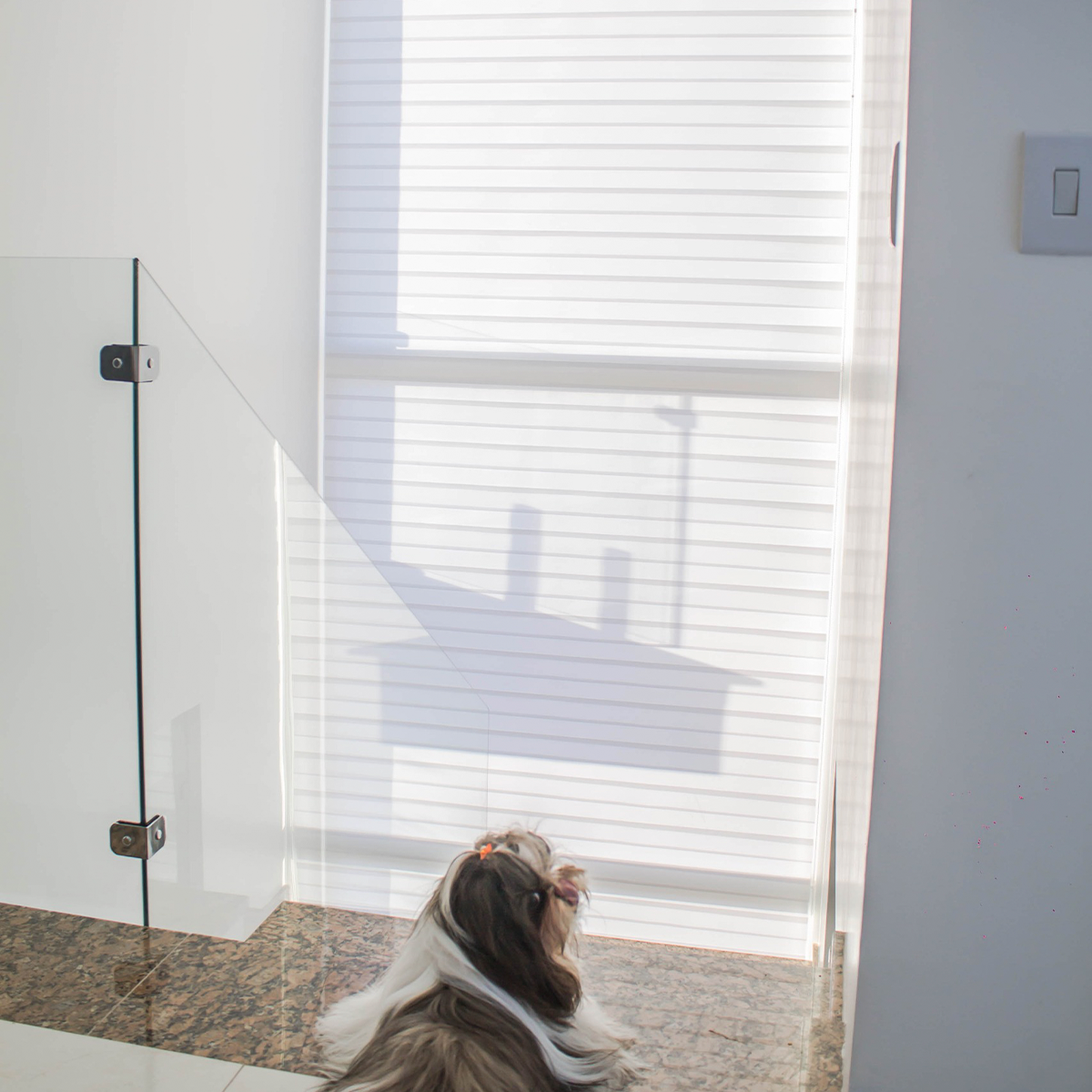 _0001_WhatsApp-Image-2025-09-01-at-14.41.50